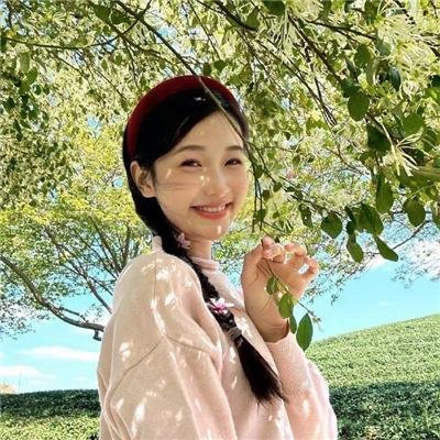 毒帮家族